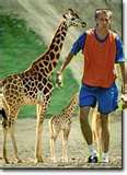 LE LONG